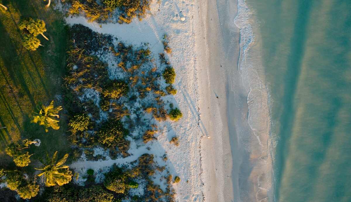 Gambling Addiction Florida Treatment Therapy