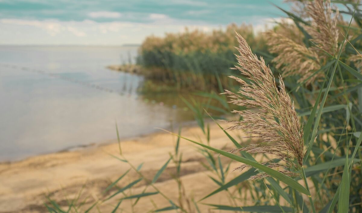 Gambling Addiction Maryland Gamblers Help Online