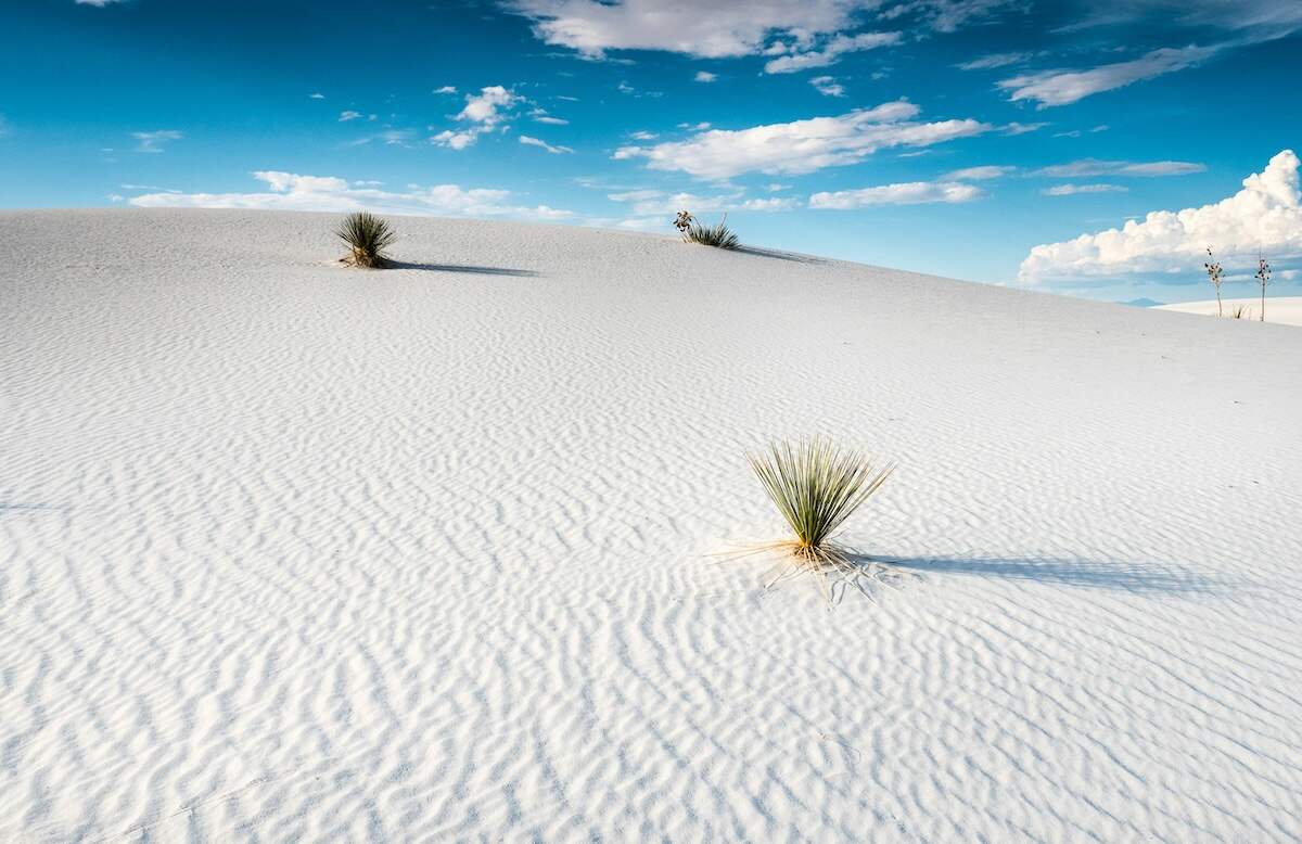 Gambling Addiction New Mexico Help Me Stop Online