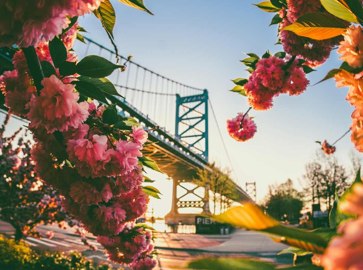 Gambling Addiction Treatment Philadelphia Gambler Helpline