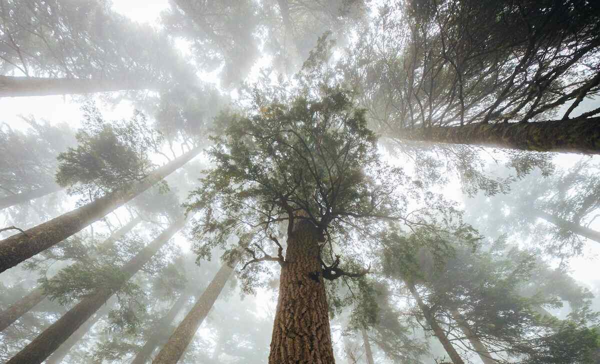 Gambling Addiction Treatment Washington State