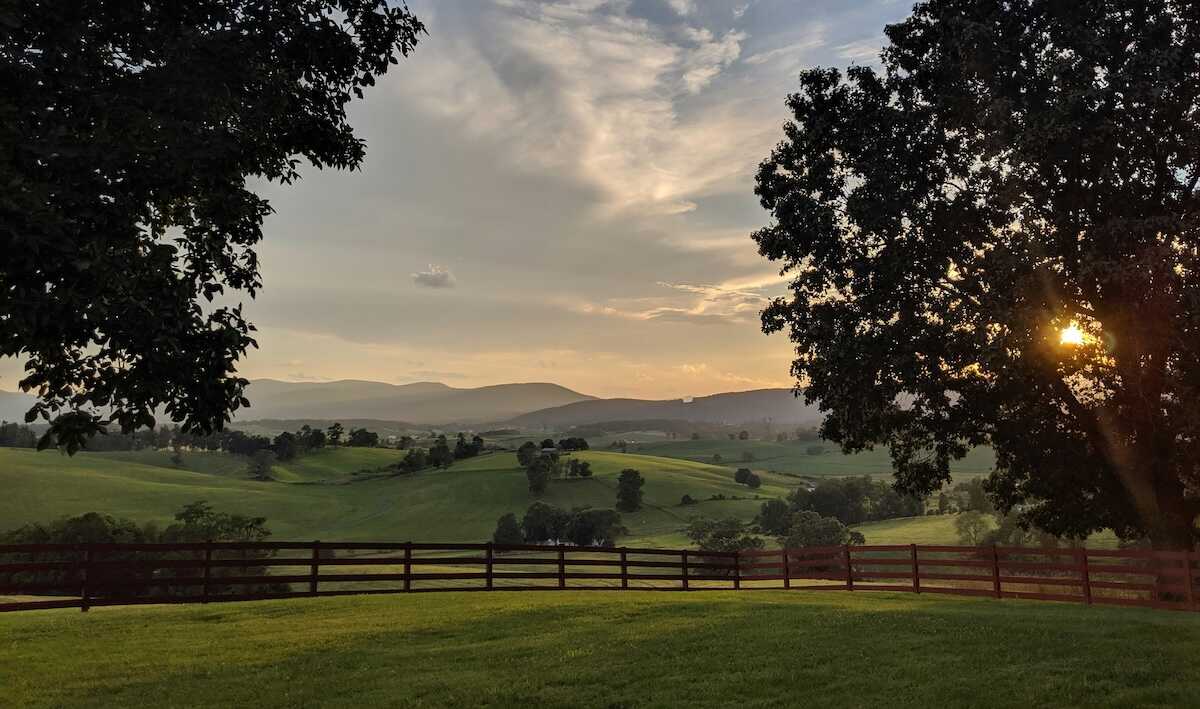 Help to Quit Gambling Virginia Gamblers Help Online VA