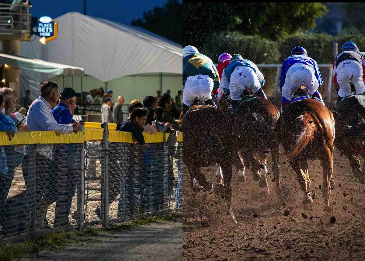 Horse Betting Addiction