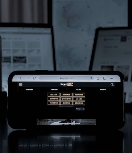 Online Pornography Age Verification Laws by U.S. State