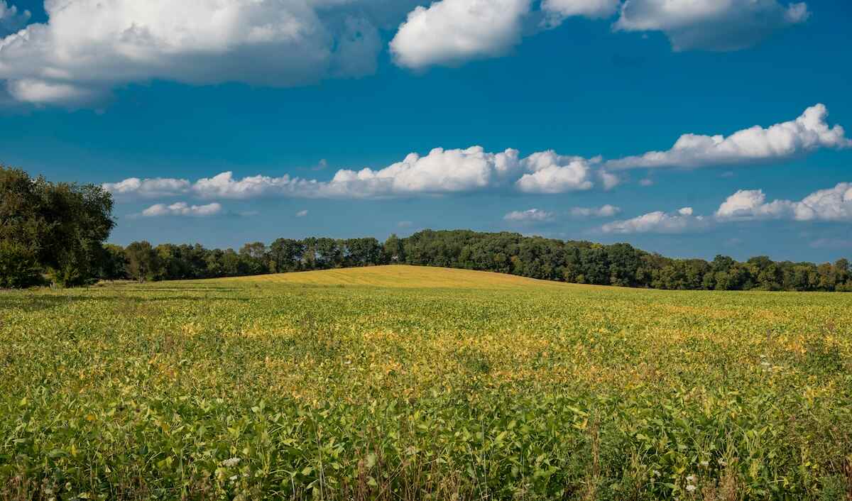 Pornography Addiction Counseling Treatment Kentucky KY