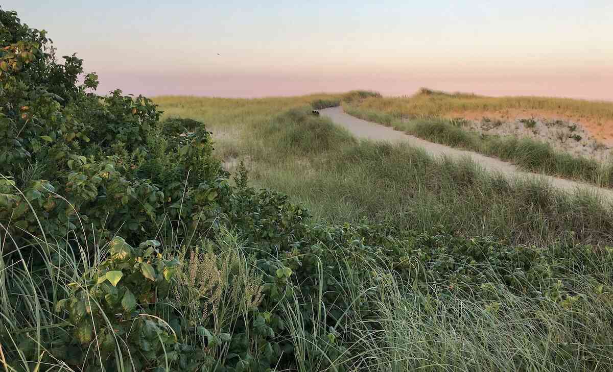 Pornography Addiction Treatment and Counseling Massachusetts