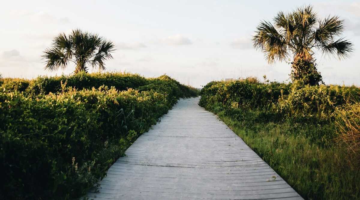 Pornography Addiction Treatment in South Carolina