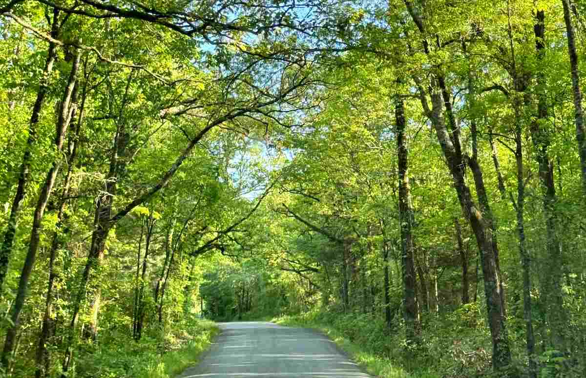 Problem Gambling Treatment Arkansas Gamblers Help Online