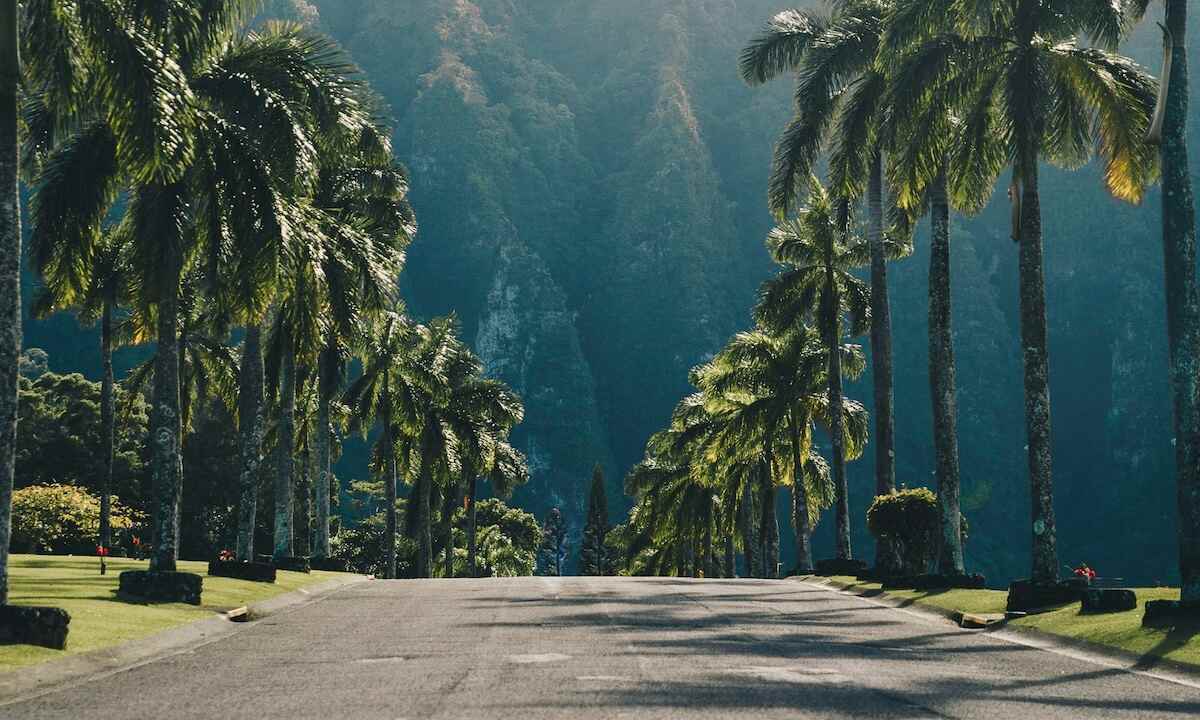 Problem Gambling Treatment Hawaii Gamblers Help Online