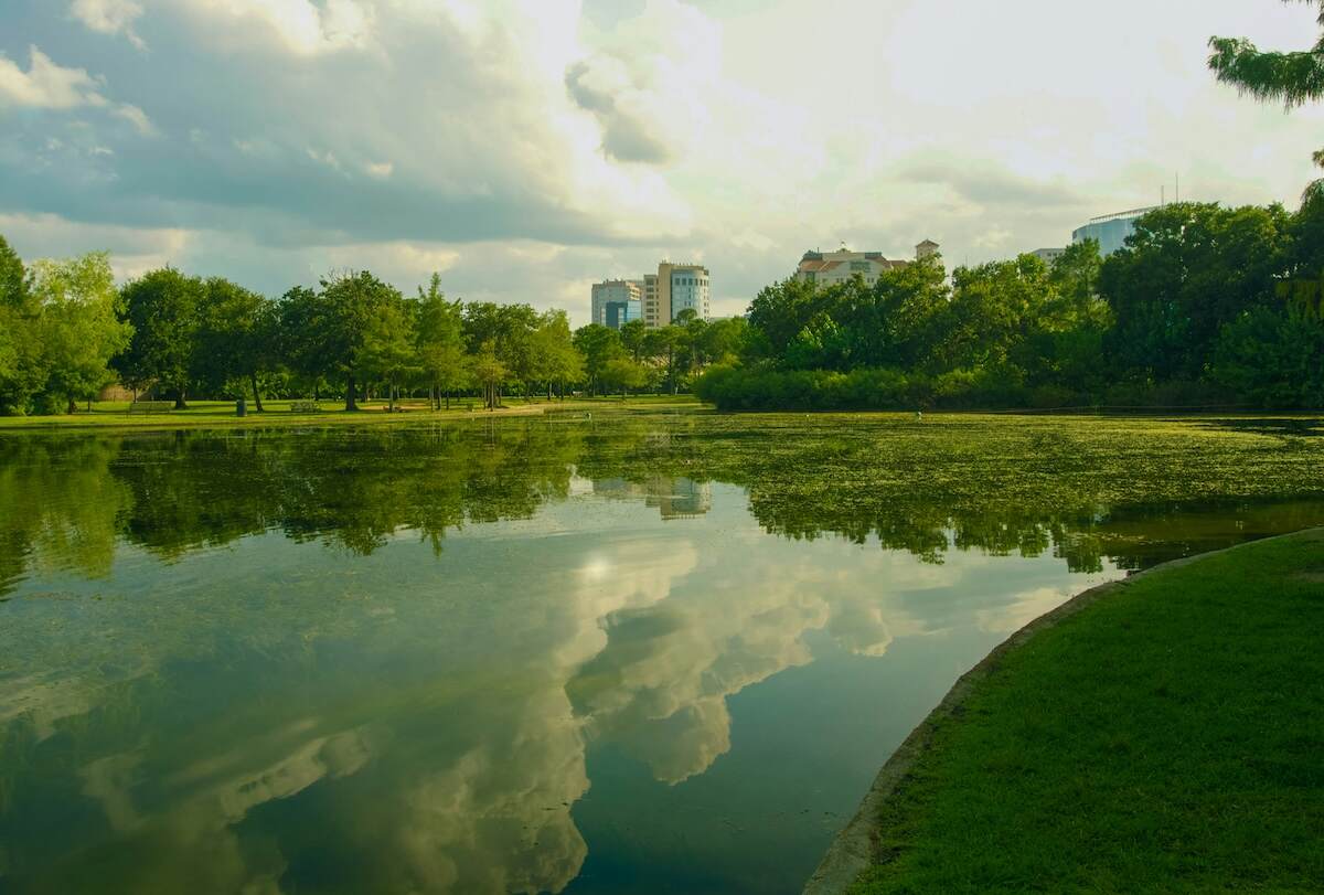 Problem Gambling Treatment Houston Gamblers Help Online