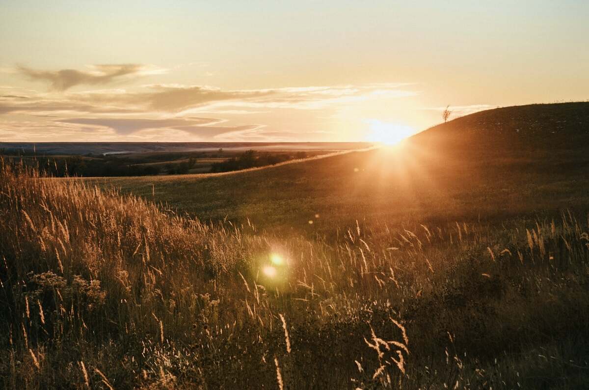 Problem Gambling Treatment Kansas Gamblers Help Online