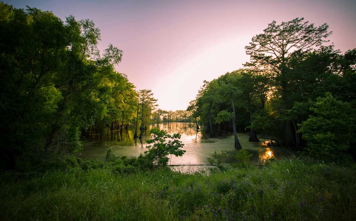 Problem Gambling Treatment Mississippi Gamblers Help Online