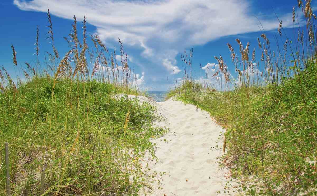 Problem Gambling Treatment North Carolina Gamblers Help Online