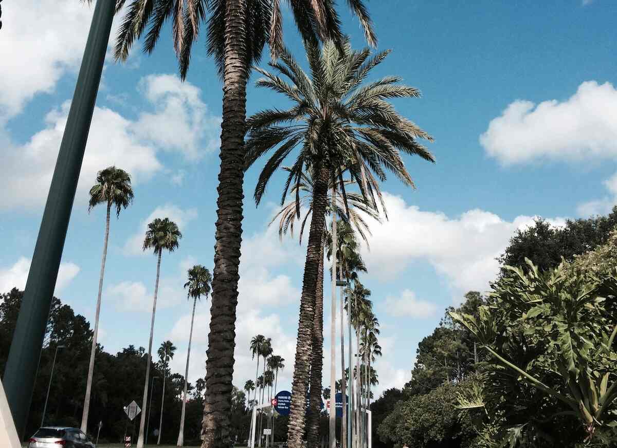 Problem Gambling Treatment Orlando Gamblers Help Online