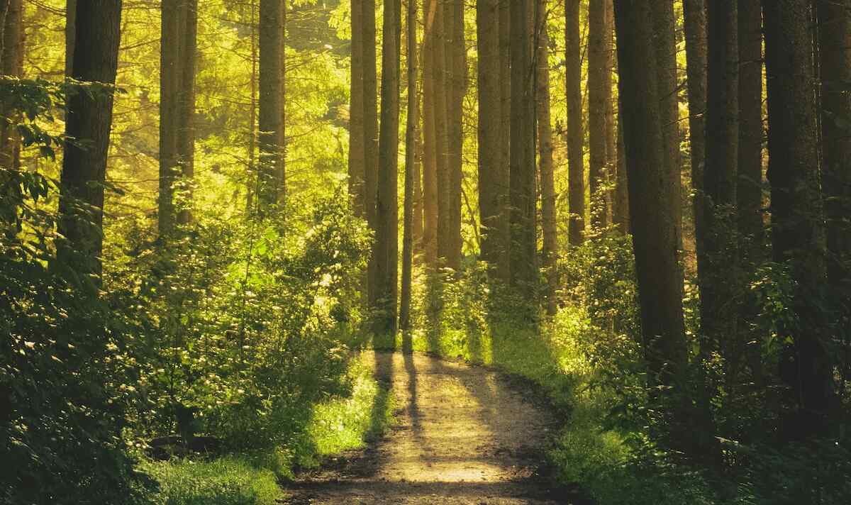 Problem Gambling Treatment Pennsylvania Help Online