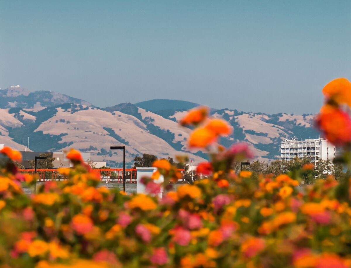 Problem Gambling Treatment San Jose Gamblers Help Online