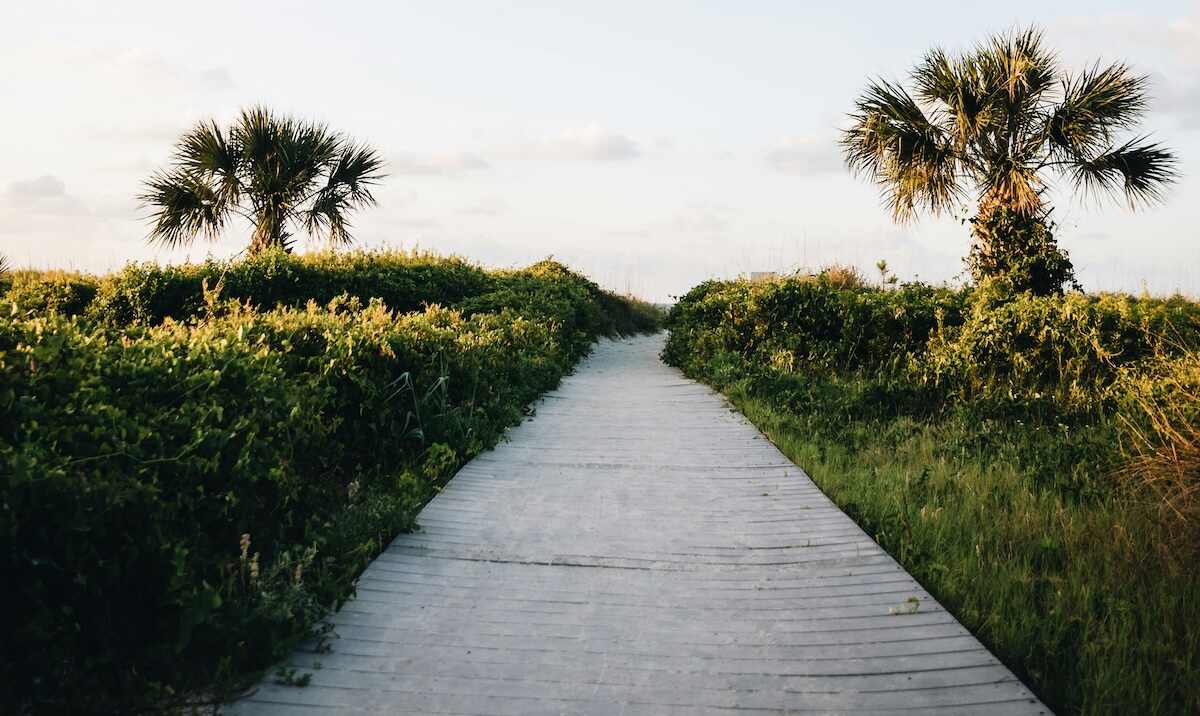 Problem Gambling Treatment South Carolina Gamblers Help