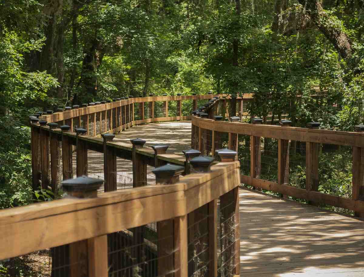 Problem Gambling Treatment Tallahassee Gambler Help Line