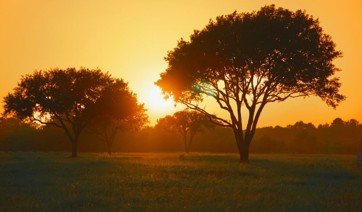 Problem Gambling Treatment Texas