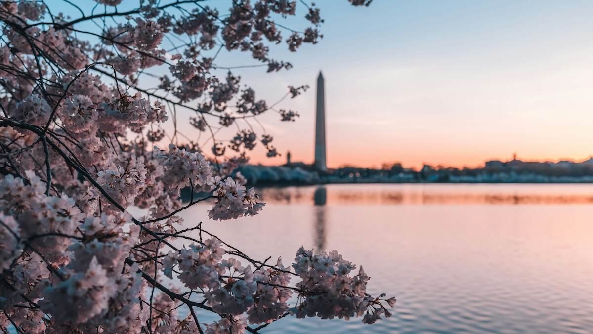 Problem Gambling Treatment Washington DC Gamblers Help Online