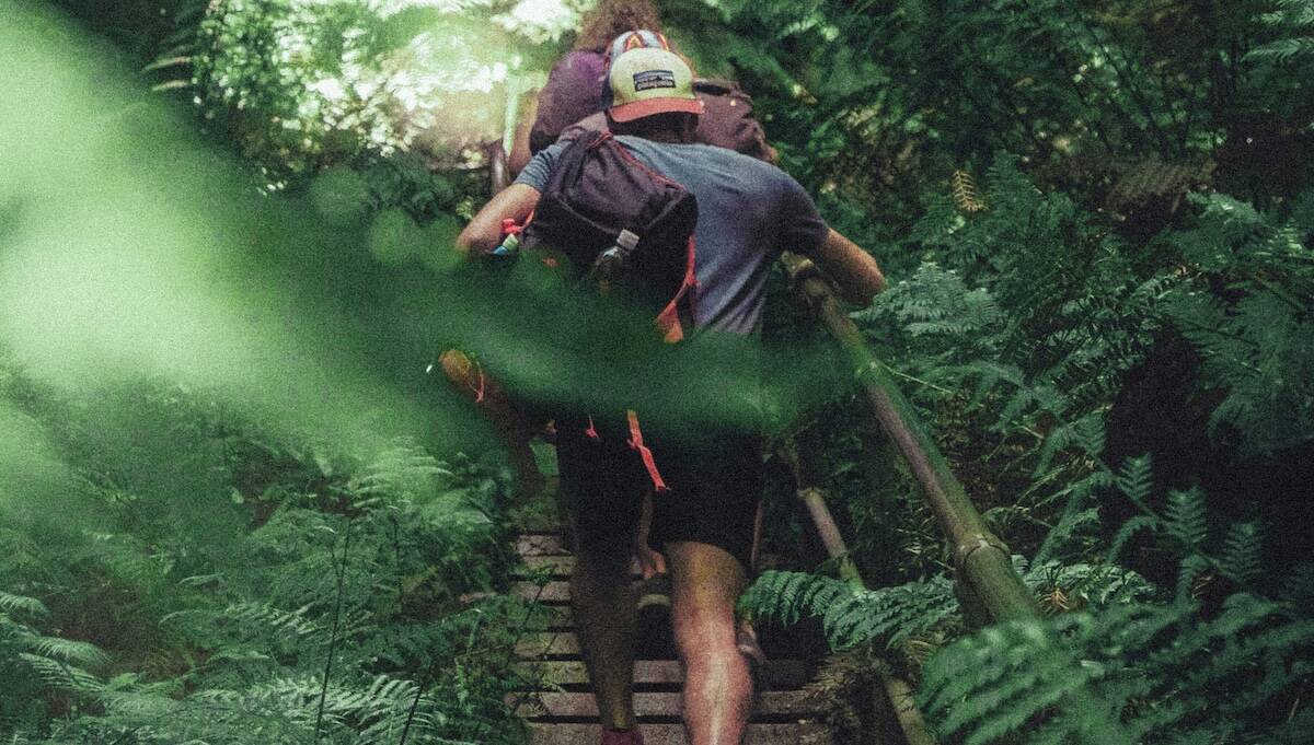 Alternatives to Sex for Addicts