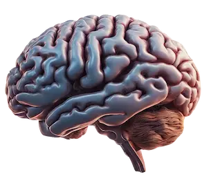 Sports Performance Coaching - Certified Mental Coach for Athletes