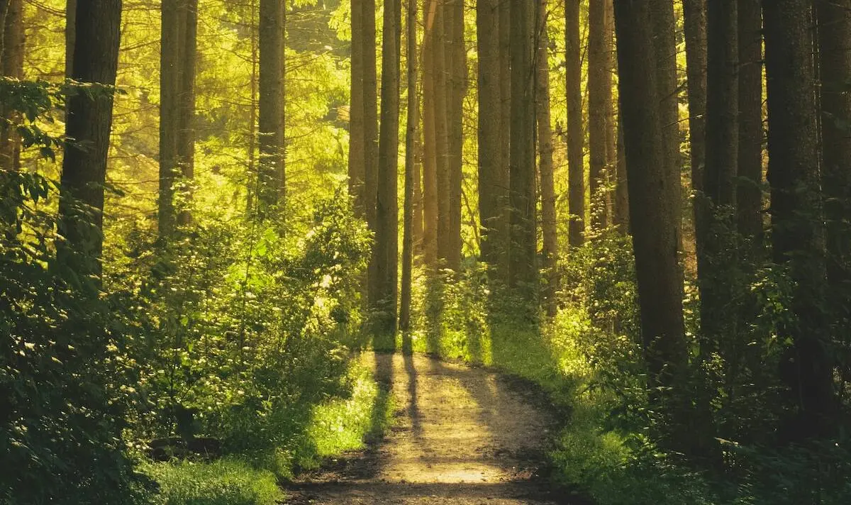 Pornography Addiction Treatment Therapy Counseling Pennsylvania