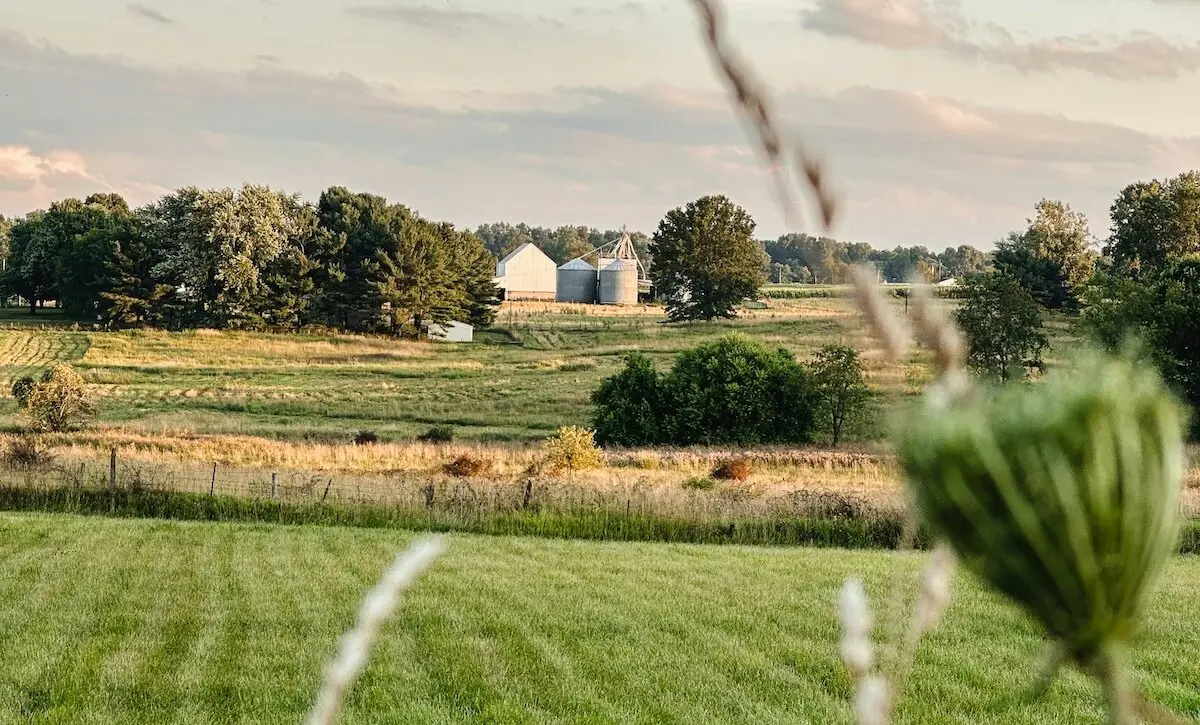 Pornography Addiction Treatment Therapy Ohio