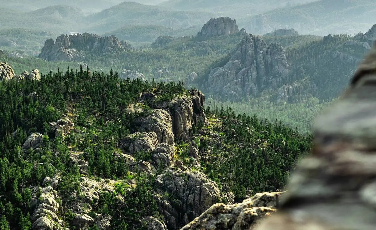 Pornography Addiction Treatment Therapy South Dakota