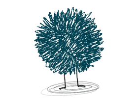 Stress Management Therapy Online | Counseling & Coaching by Kindbridge