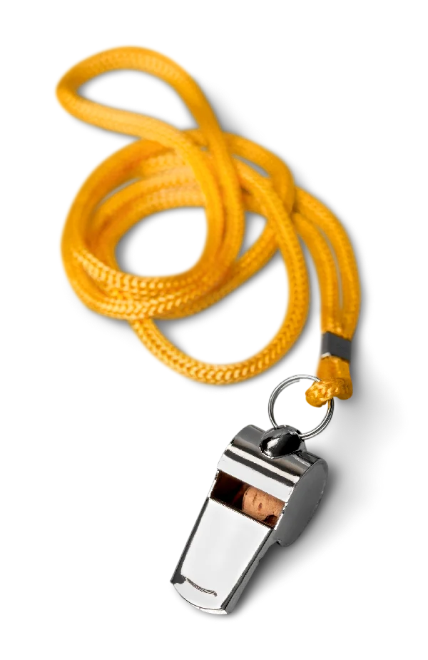 Sports Performance Coaching Athlete